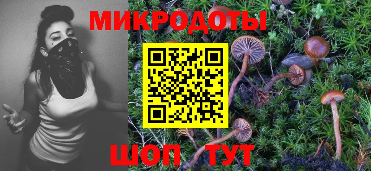 Приморско-Ахтарск  Псилоцибиновые грибы Psilocybe  Вход с VPN  Галлюциногенные грибы Psilocybine cubensis 