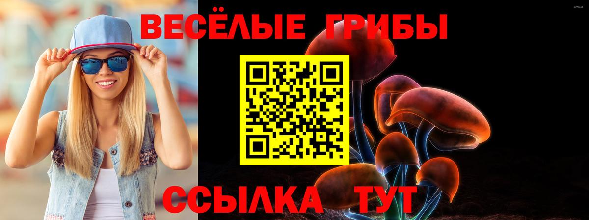 Галлюциногенные грибы мицелий Приморско-Ахтарск